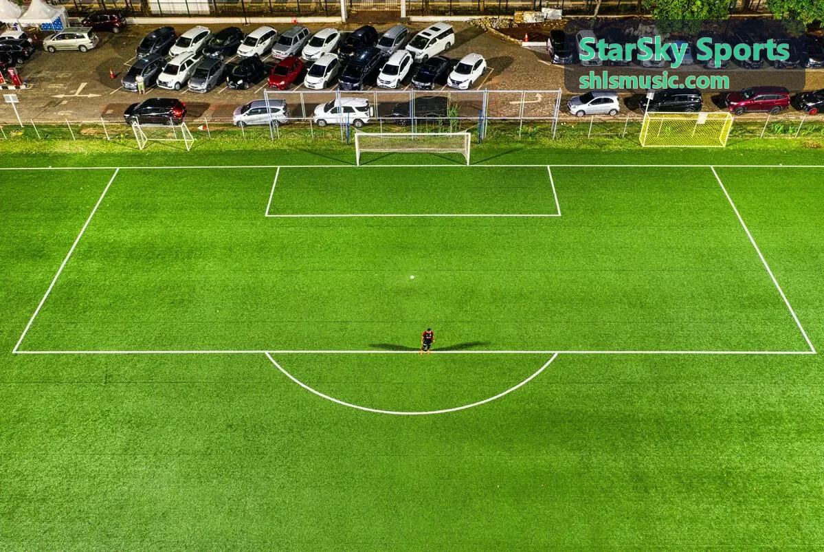 StarSky Sports 恒温游泳馆标准泳池，分泳道开放